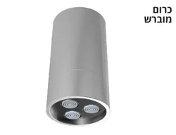 ספוט גשם קבוע מהתקרה