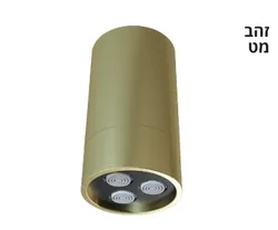 ספוט גשם קבוע מהתקרה