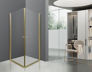 מקלחון 2 דלתות TWIN GOLD