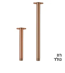זרוע מהתקרה סדרת CEIL